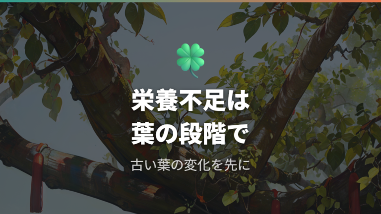 肥料不足で葉色が薄くなるケースを確認する