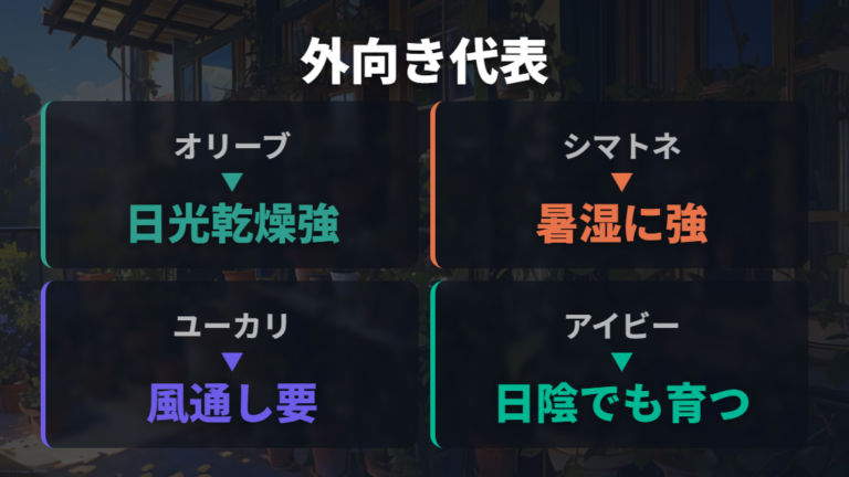 外でも育てやすい観葉植物の代表を押さえる
