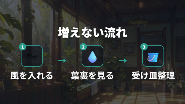 室内で虫を増やさない管理方法は風通しと葉水が軸になる