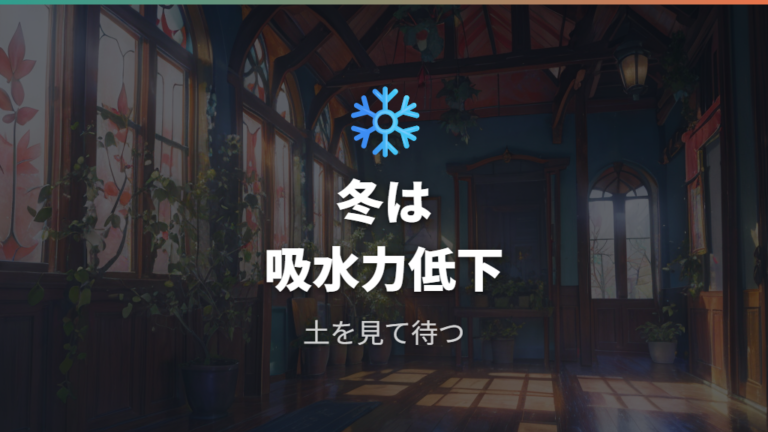 冬に水を控えるべき理由は根の吸水力が落ちるから