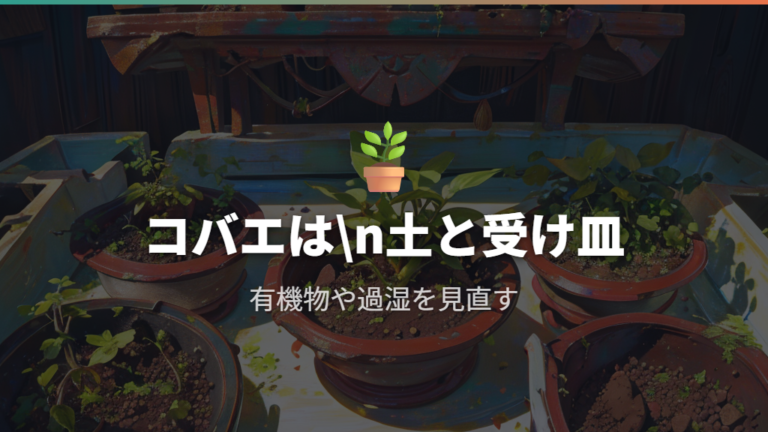 植物まわりの虫には別対策も必要と考える
