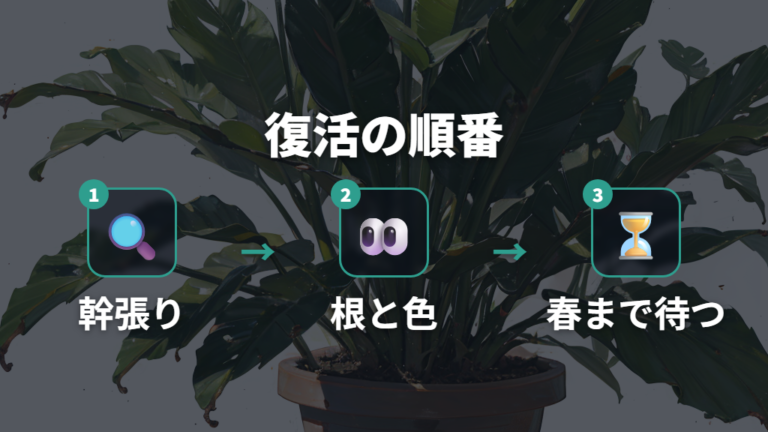 寒さで弱った株の復活方法は生存確認から始める