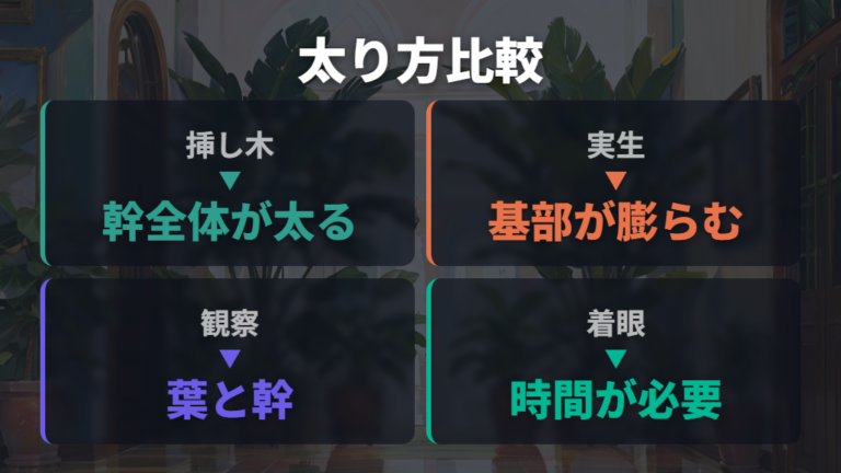 挿し木株と実生株の違いを知ると焦らず育てられる