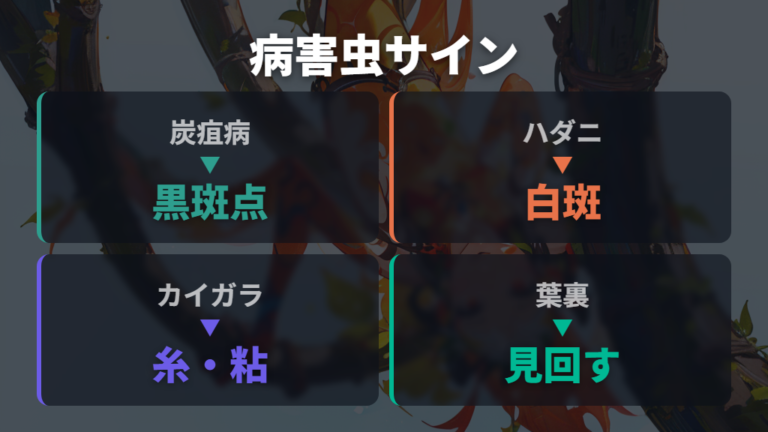 病害虫による葉の変色は斑点・糸・ベタつきで見分ける