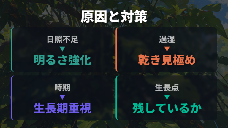 枝が増えない原因と対策は日照不足と過湿を見直す