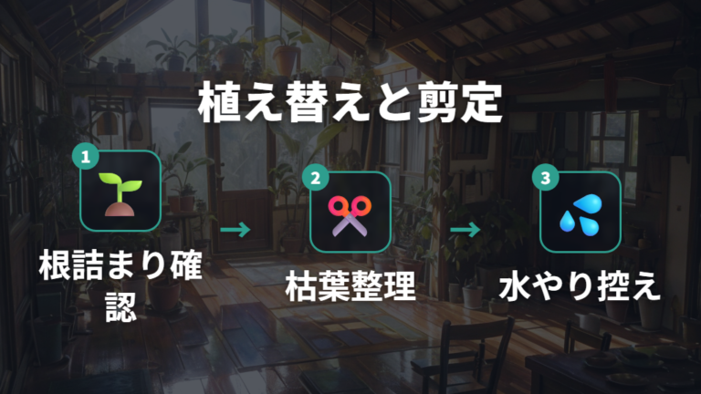 植え替えと剪定で株を保つコツ