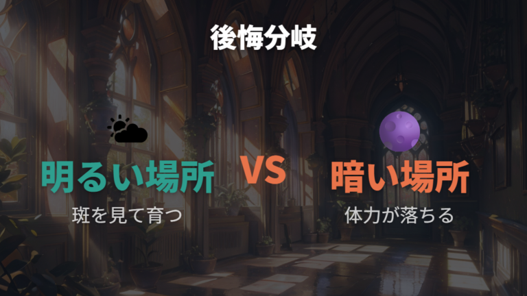 買って後悔しやすいケースは置き場所と生活リズムで決まる