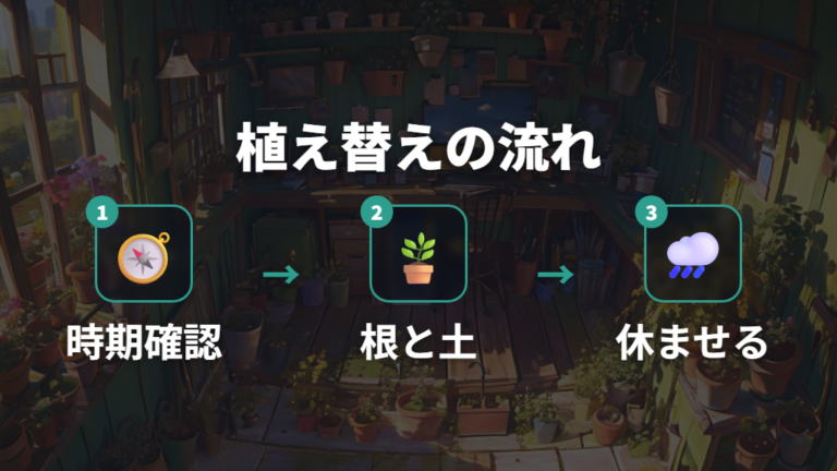 植え替えで株を元気に保つタイミングと手順