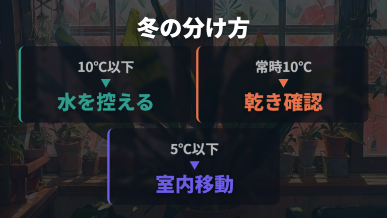 冬に枯らさない水やり管理は温度で切り替える