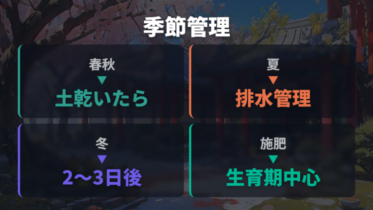 春夏秋冬の水やりと肥料の違いを比較する