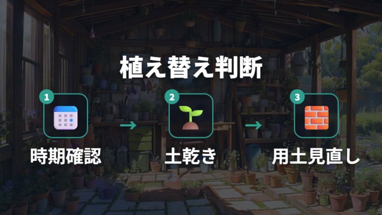 植え替えと土の見直しで防虫するタイミング
