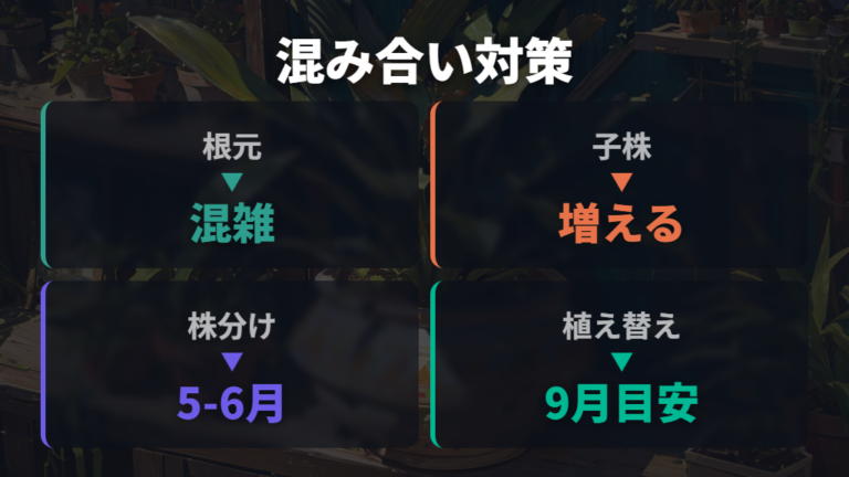 株分けと植え替えのタイミングで混み合いを防ぐ