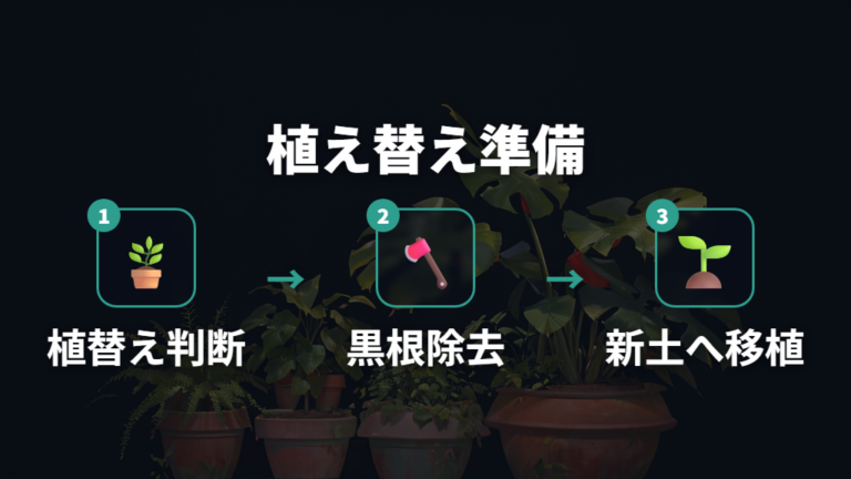 根腐れの重いサインが重なる時の植え替え手順