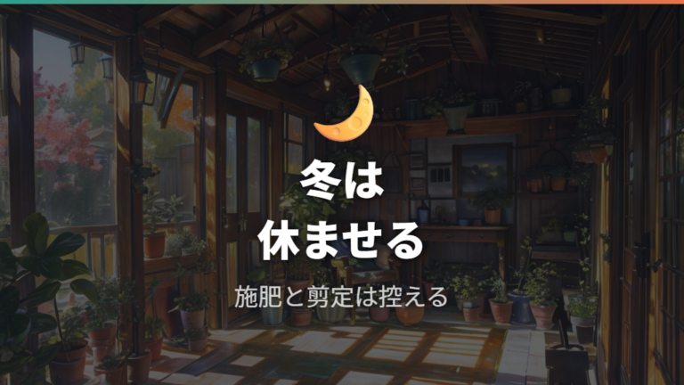 冬越しで失敗しない管理方法として肥料と剪定を控える