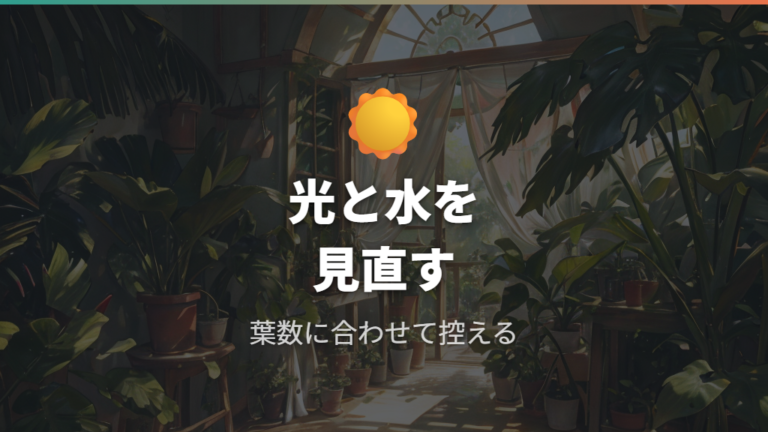 伸びすぎを防ぐ育て方の基本は光と水やり