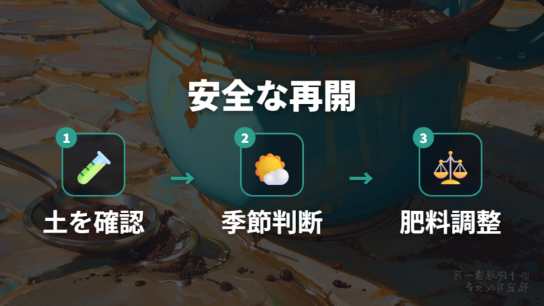 水やりと肥料で葉色を整える手順を安全側で進める