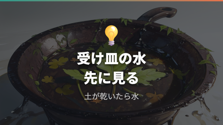 根腐れ対策を日常管理から見直す
