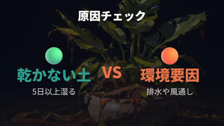 根腐れや枯れる原因は乾かない土から疑う