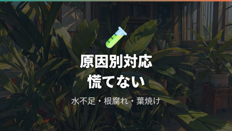 枯れかけた株への対処は原因別に変える