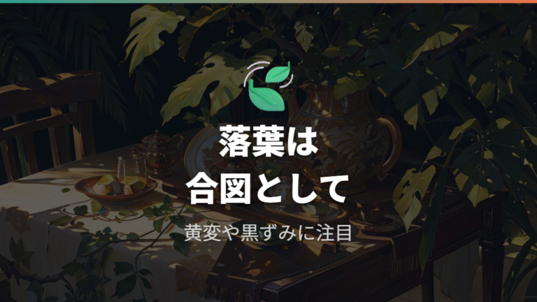 寒さで出る葉の不調サインは落葉・黄変・黒ずみ