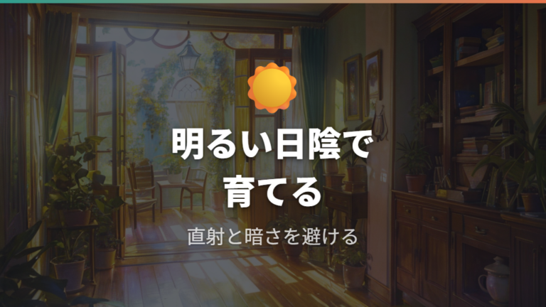 枯れを防ぐ置き場所と日当たりは明るい日陰が基本