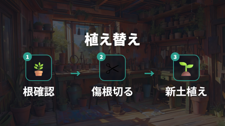 根腐れした株の植え替え方法