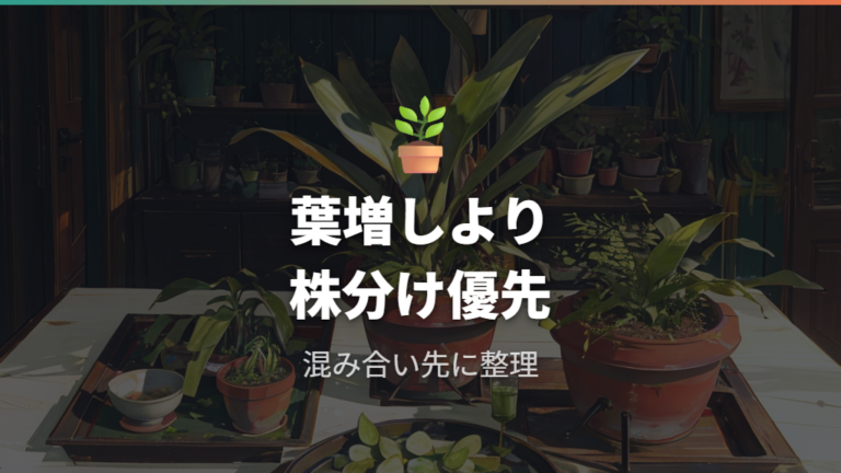 葉挿しより株分けが向くケースを知っておく