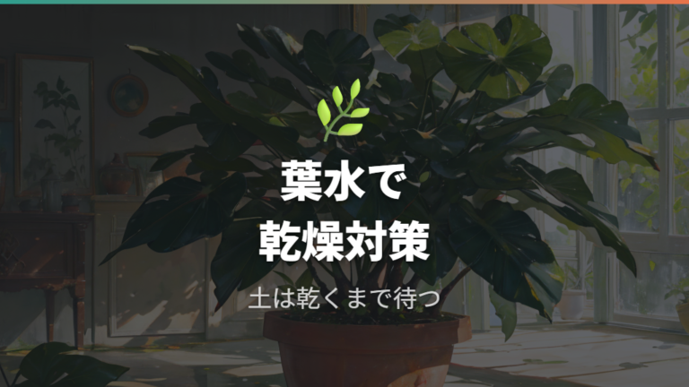 葉水は土への水やりと分けて乾燥感をケアする