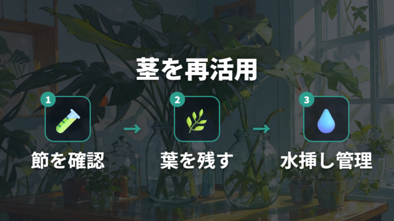 剪定した茎を挿し木や水挿しで活用する