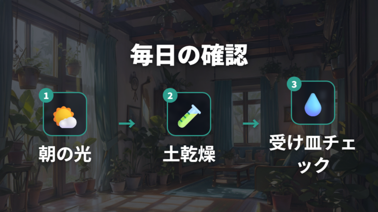 冬の水やりと日当たり管理を毎日の確認リストにする