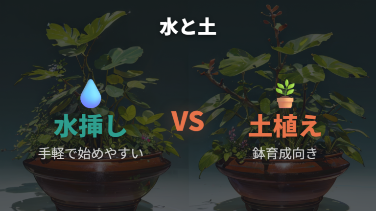 水挿しと挿し木の違いを知って枝ぶりを整える育て方に生かす