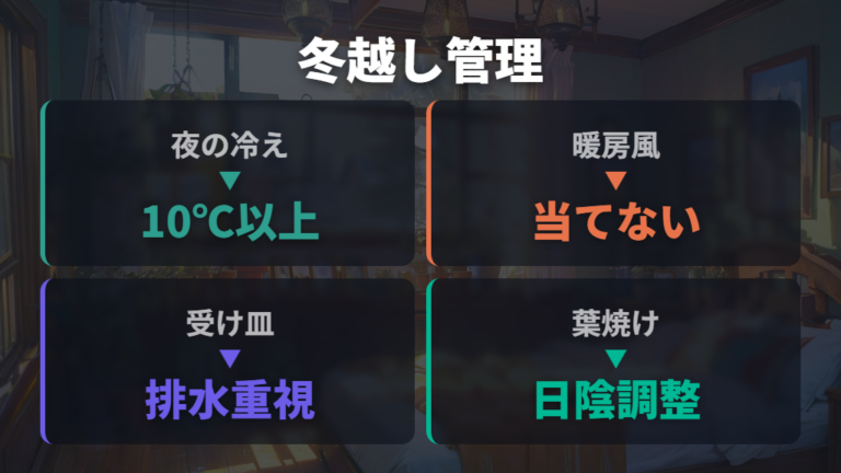 冬越しで失敗しない置き場所と暖房風の避け方