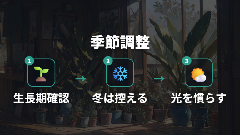 水やりと日当たりの整え方を季節ごとに変える