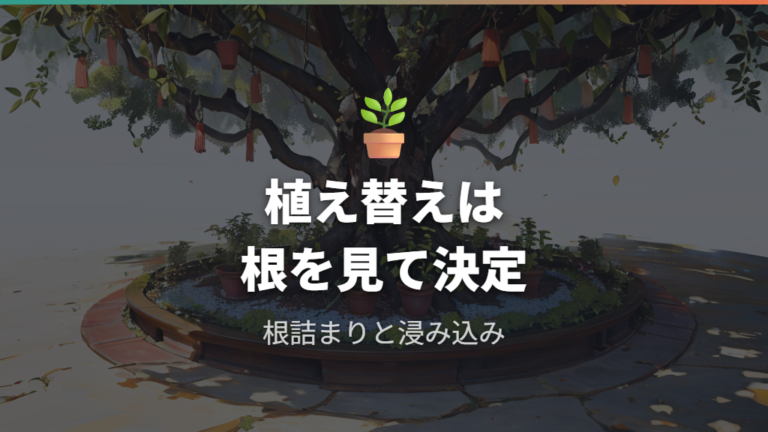 葉色の変化で見る不調サインから植え替えを判断する