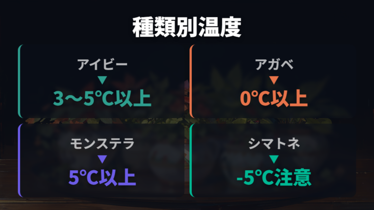 冬の屋外管理で枯れる原因を種類ごとの温度で見る