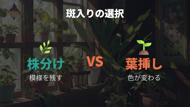 葉挿しと株分けの違いは斑入り品種で特に大事