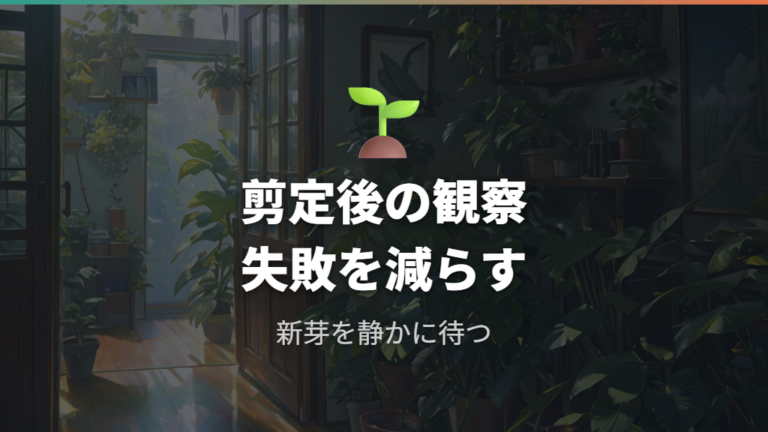 剪定後の様子と失敗例から管理を見直す