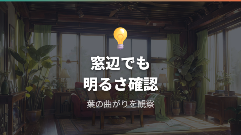 細い葉の相談事例で多い失敗は室内の明るさ不足
