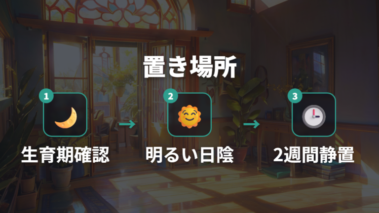 植え替え後の置き場所と時期は暖かい生育期を選ぶ
