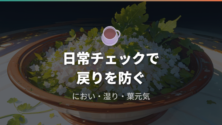再発を防ぐ日常チェックはにおい・湿り気・葉の元気を見る