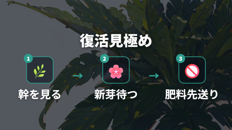葉が落ちても復活を待てるケースは幹と新芽で判断する
