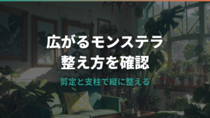 モンステラが広がりすぎたら剪定と支柱でどう整える?