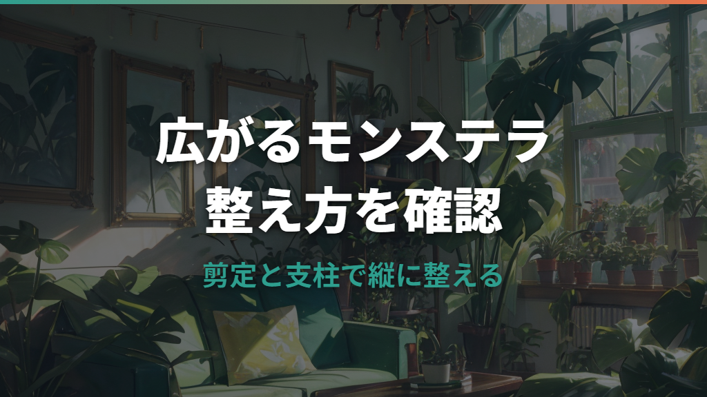 モンステラが広がりすぎたら剪定と支柱でどう整える？