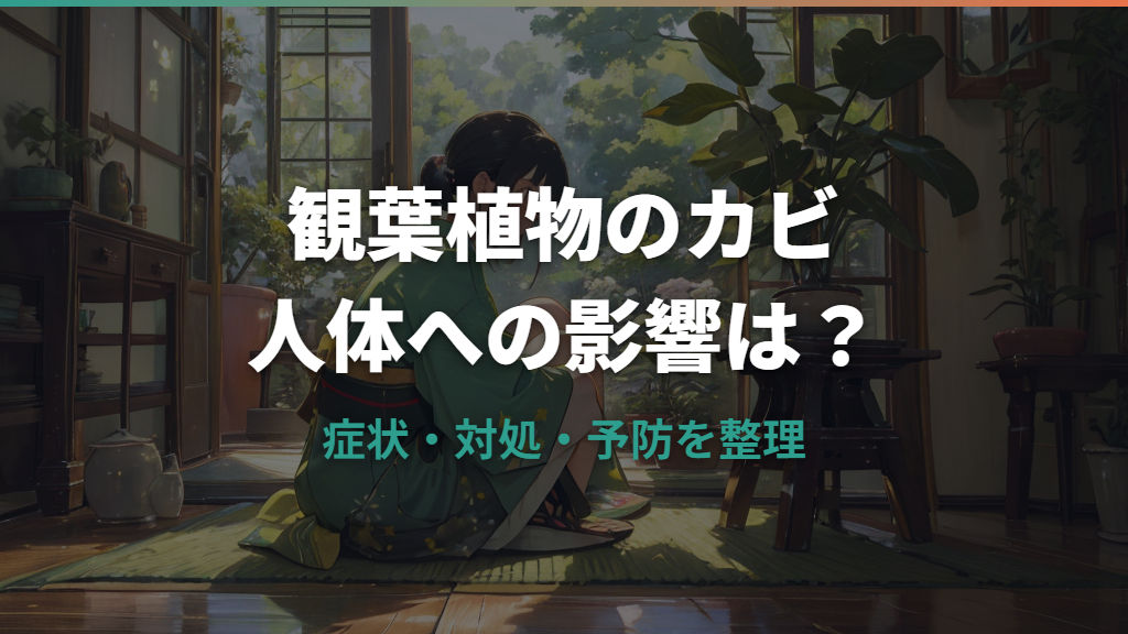 観葉植物のカビは人体に影響する？症状の注意点と安全な取り除き方