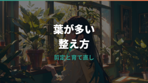 パキラの葉が多いときは放置でいい?剪定と育て方の見直し方