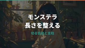 モンステラのつるが伸びすぎたらどこで切る？支柱と挿し木まで整理