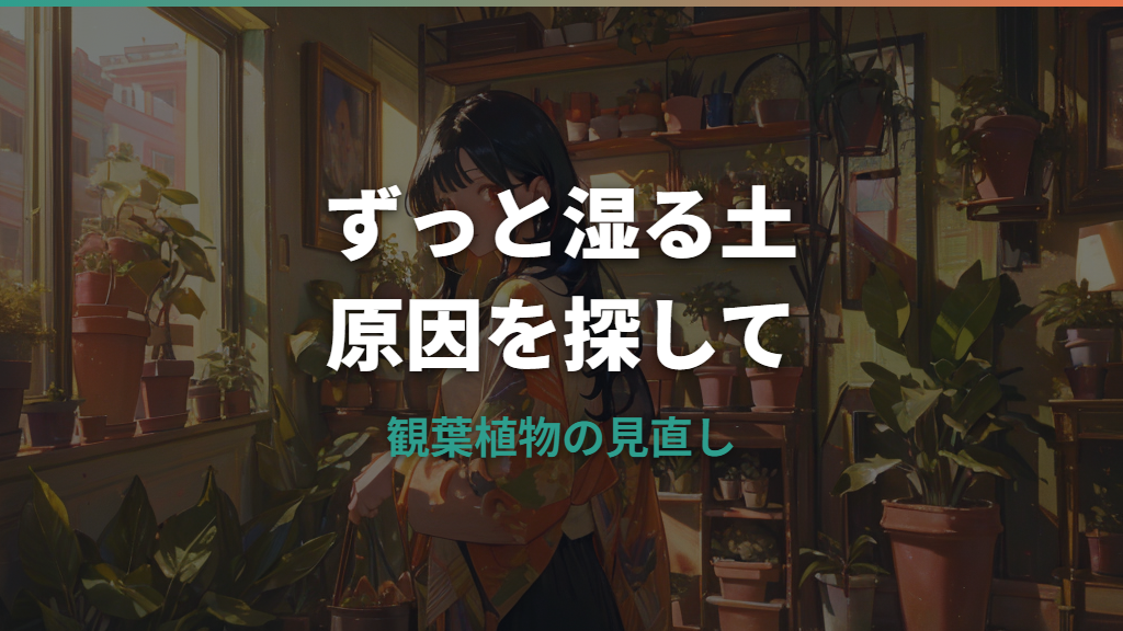 観葉植物の土がずっと湿ってる原因と今すぐできる対処法