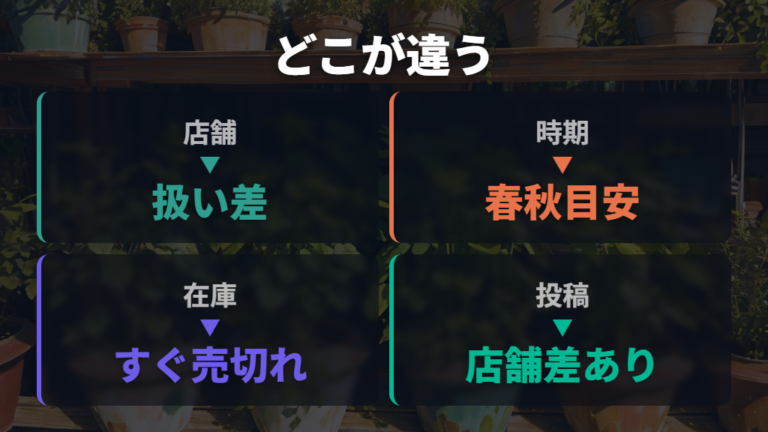 店舗によって在庫が違う理由を先に押さえる