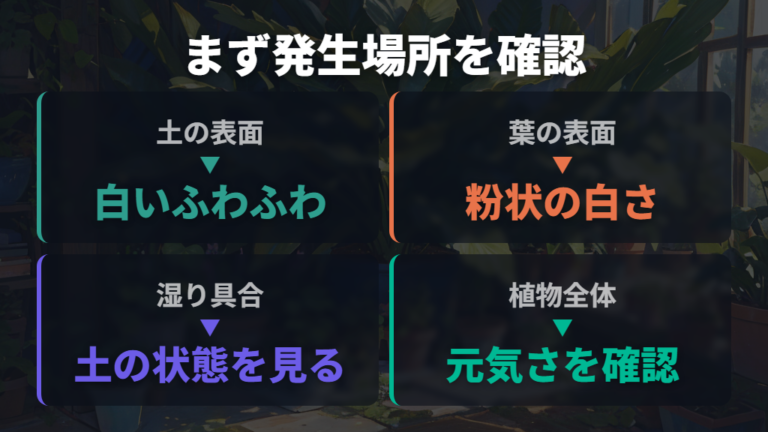 白い粉の正体と見分け方は発生場所から確認する