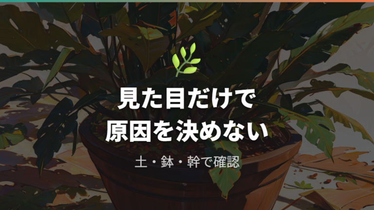 葉がしわしわになる主な原因は水分が届かないこと